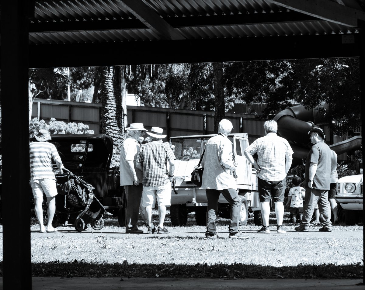 People clusted around a Haflinger 